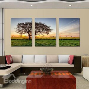 Giant Sycamore Tree Alone in Field 3-Panel Canvas Wall Art Prints